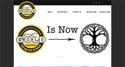 Desktop Screenshot of goldchiroandrehab.com